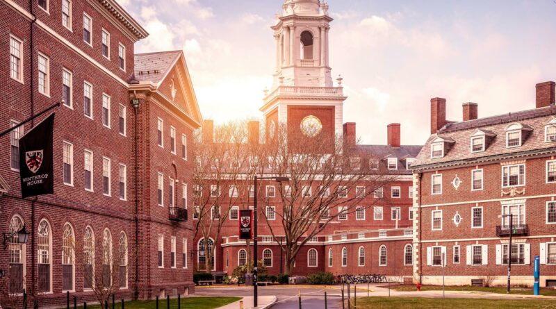 L’éducation, un bien de consommation pour riches ?